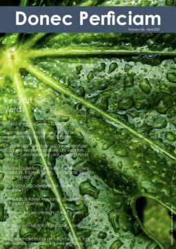 El número 6 de la revista Donec Perficiam