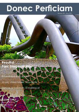 El número 8 de la revista Donec Perficiam
