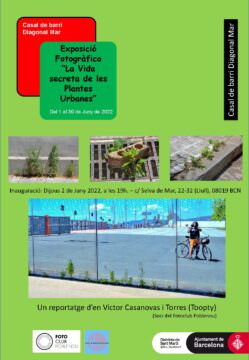 Exposició LA VIDA SECRETA DE LES PLANTES URBANES