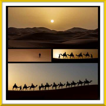 Concurs MINI-REPORTATGE